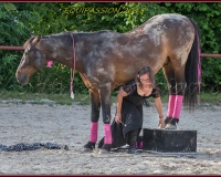 2-13JUIN 0147